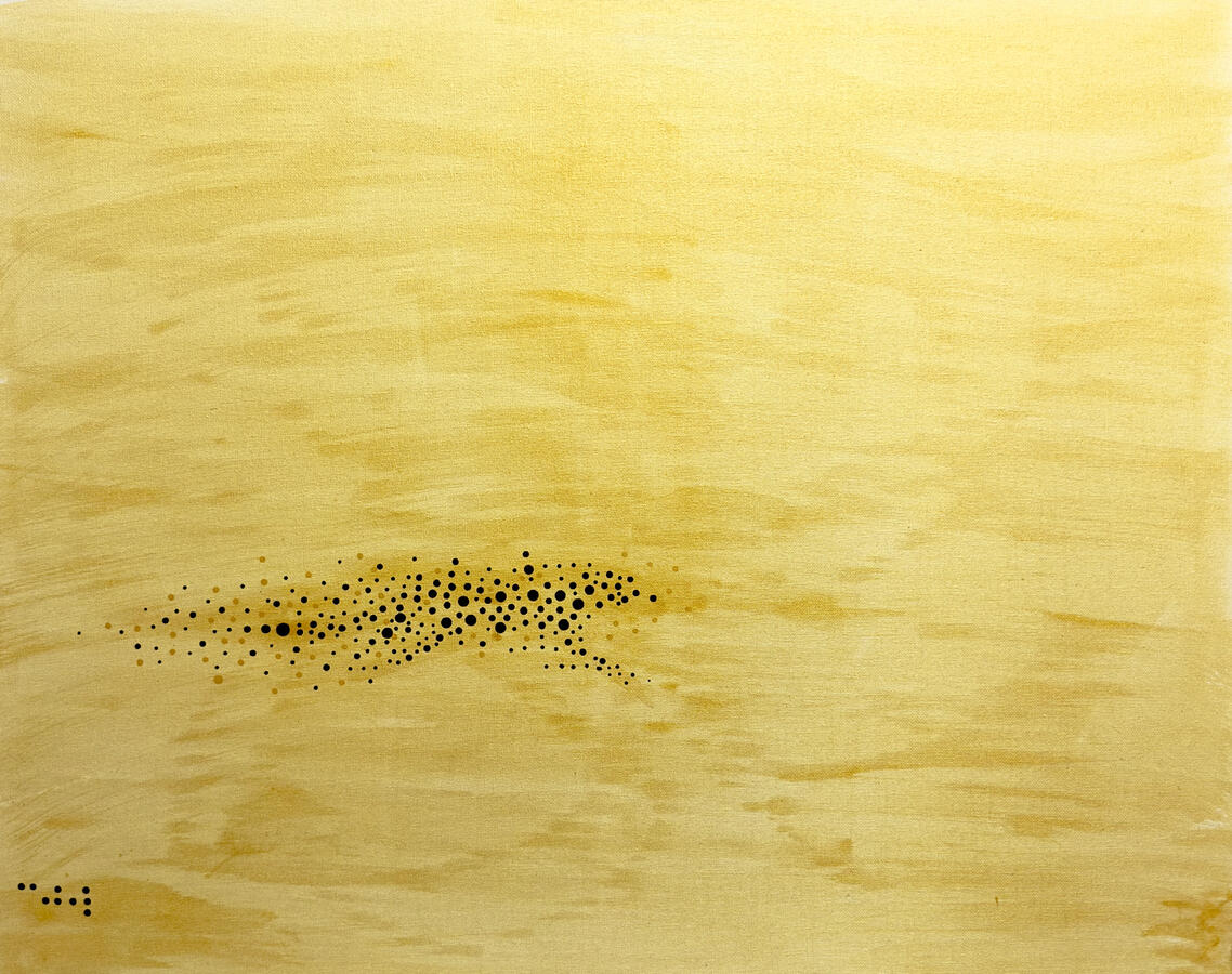 Savanna